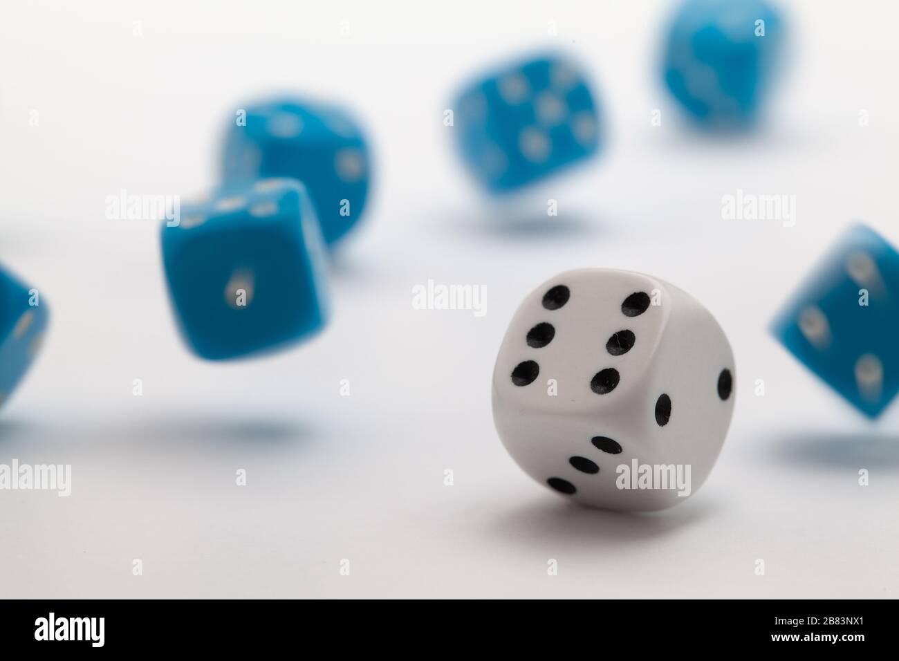 Blue and White playing dice at white background. Playing a game with