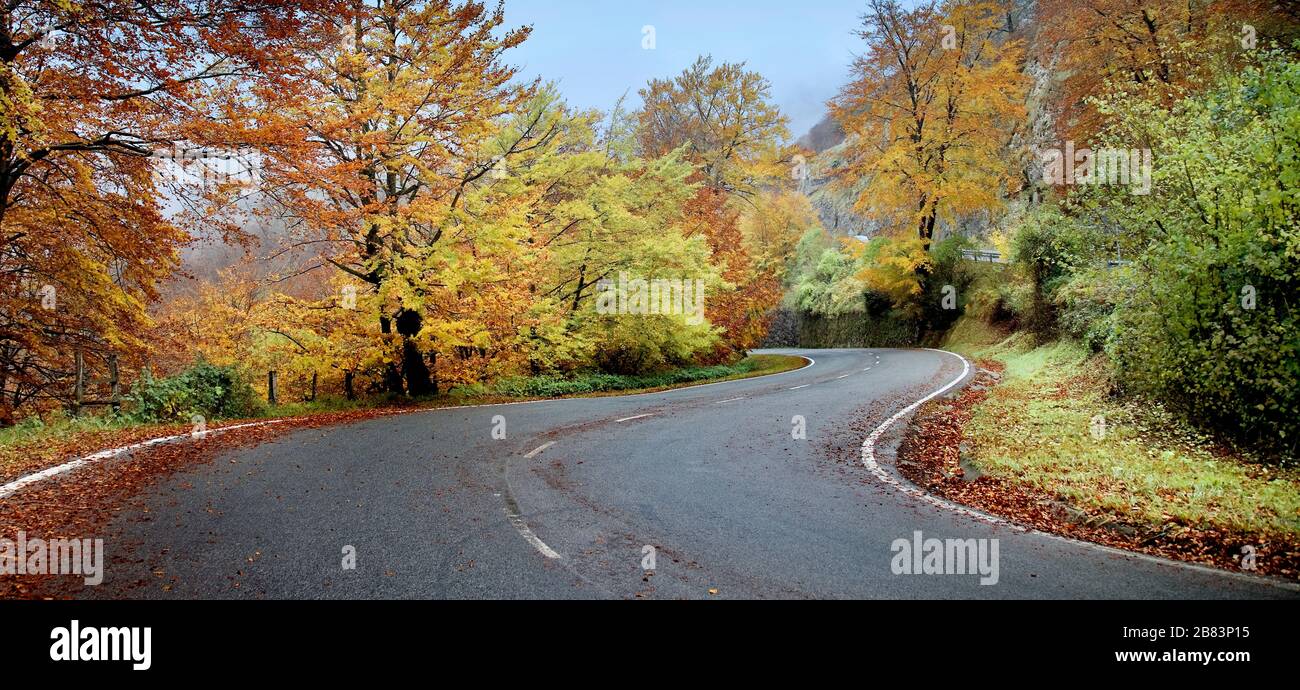 Autumn forest. Urbasa, Navarra. Spain Stock Photo