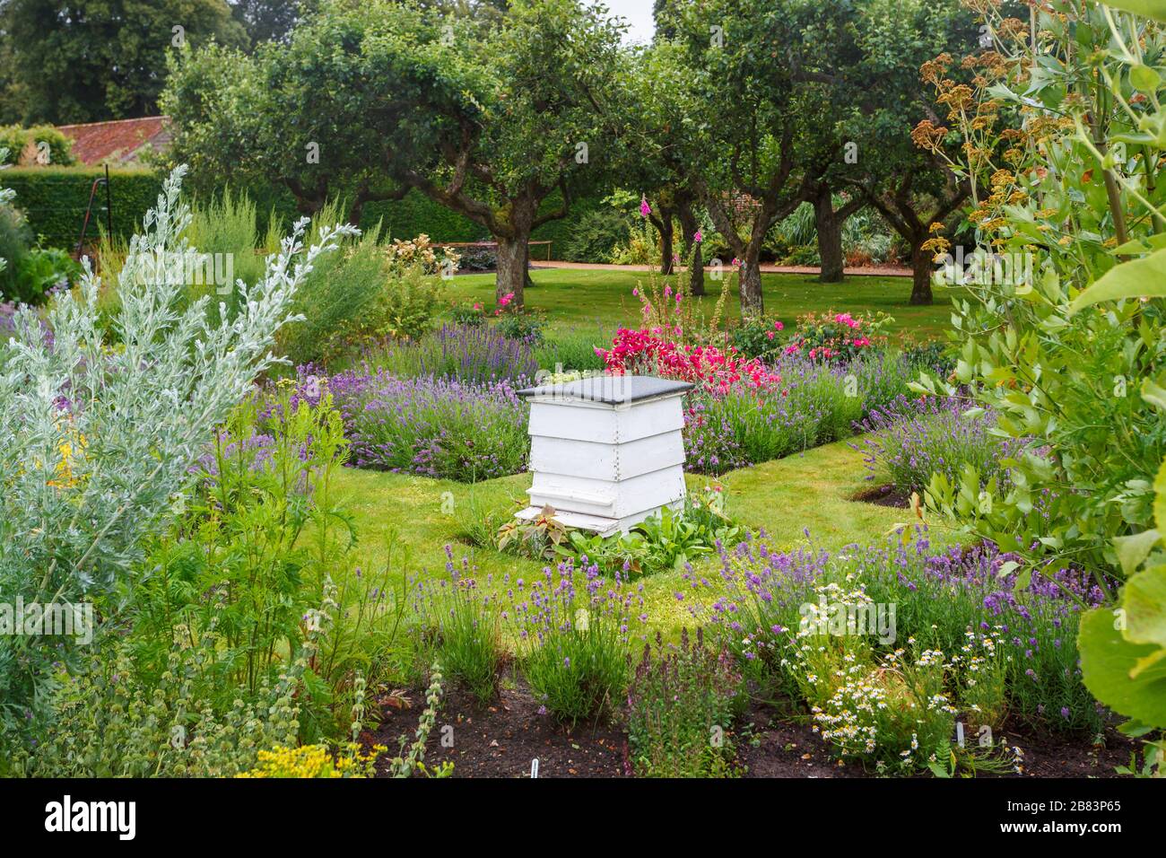 Traditional white wooden beehive standing in the pretty, flowery landscaped gardens of Houghton Hall in Norfolk, east Anglia, England in summer Stock Photo