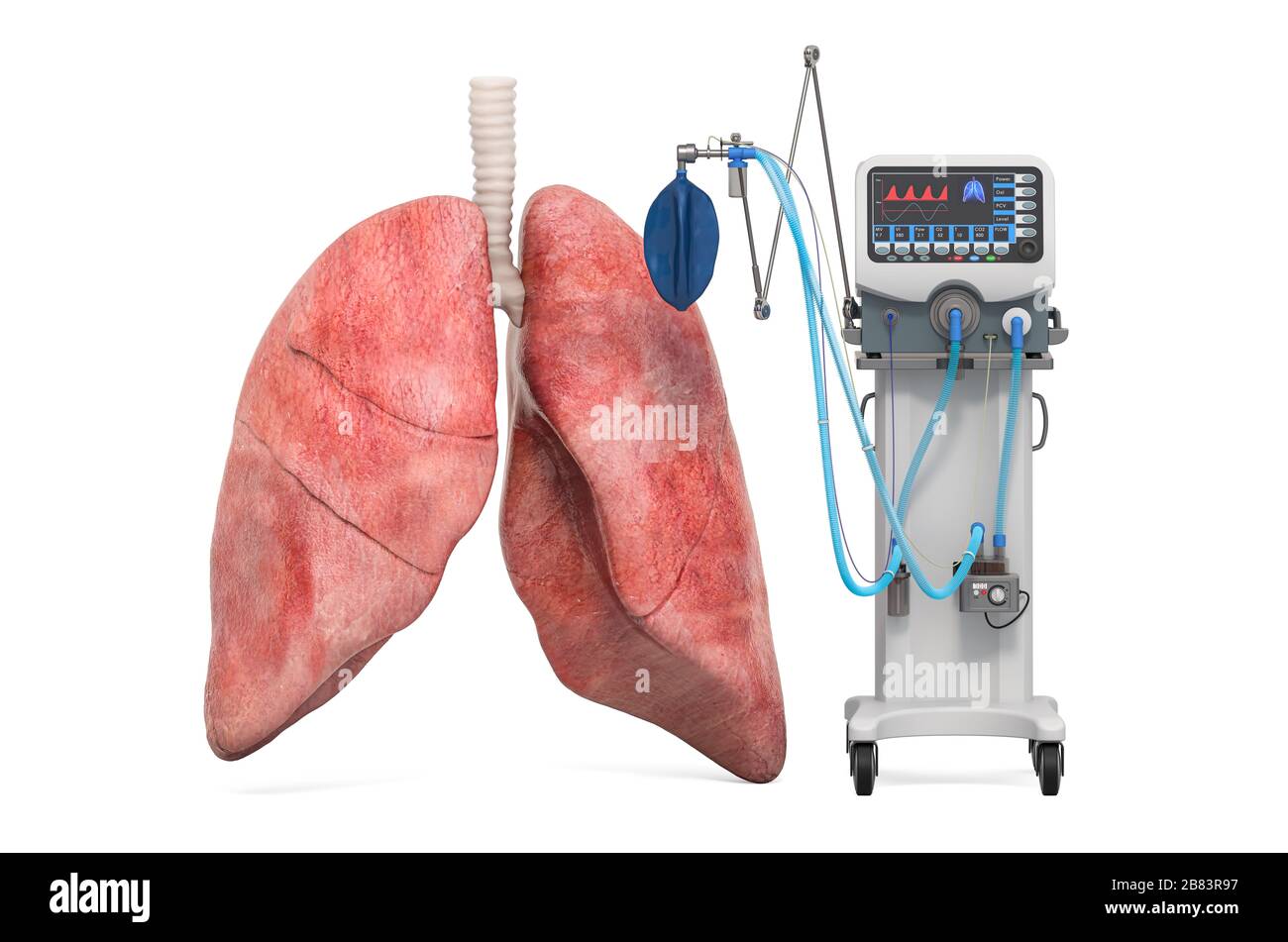Medical ventilator with lungs, 3D rendering isolated on white background Stock Photo