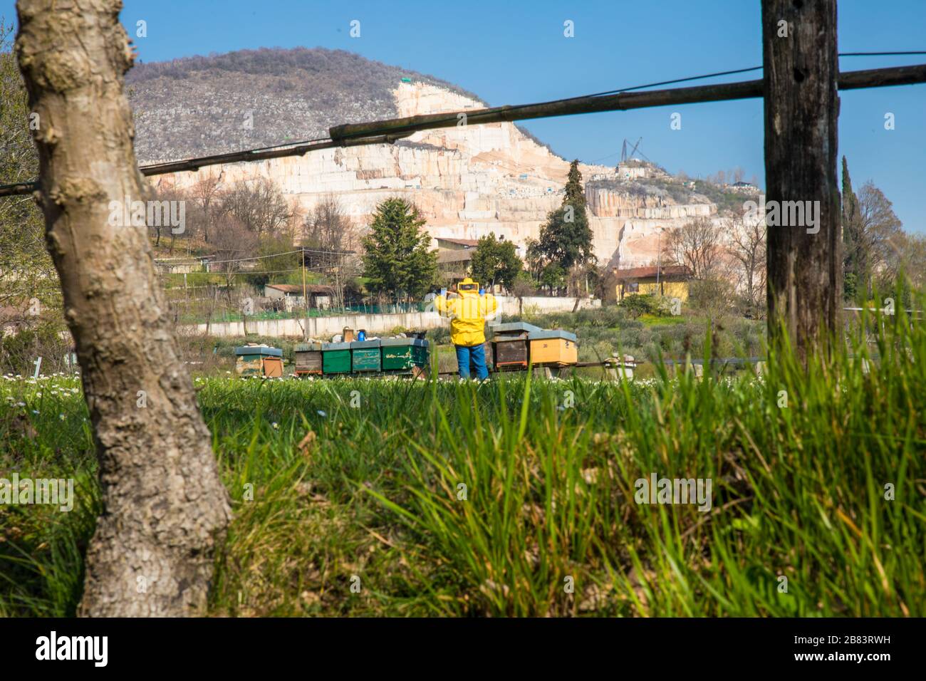 beekeeper checks honey, in the background Botticino marble caves Stock Photo