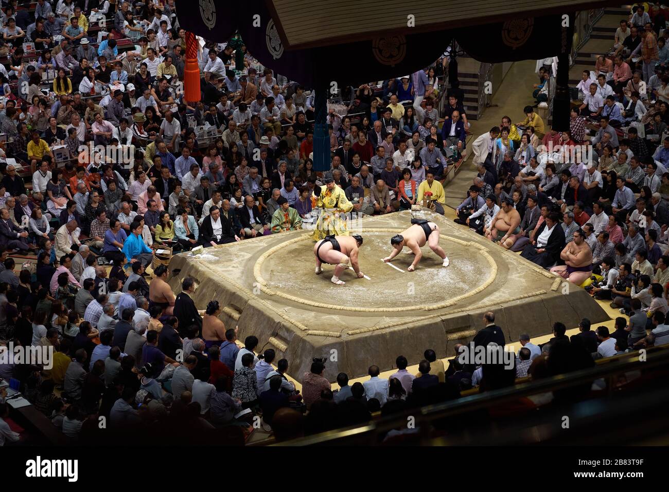 Sumo wrestlers preparing to fight in the wrestling ring at 2013 September  Grand Sumo Tournament at the Ryogoku Kokugikan, Tokyo, Japan Stock Photo -  Alamy