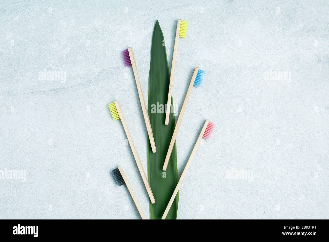 Eco friendly natural bamboo toothbrushes with green leaves Stock Photo ...