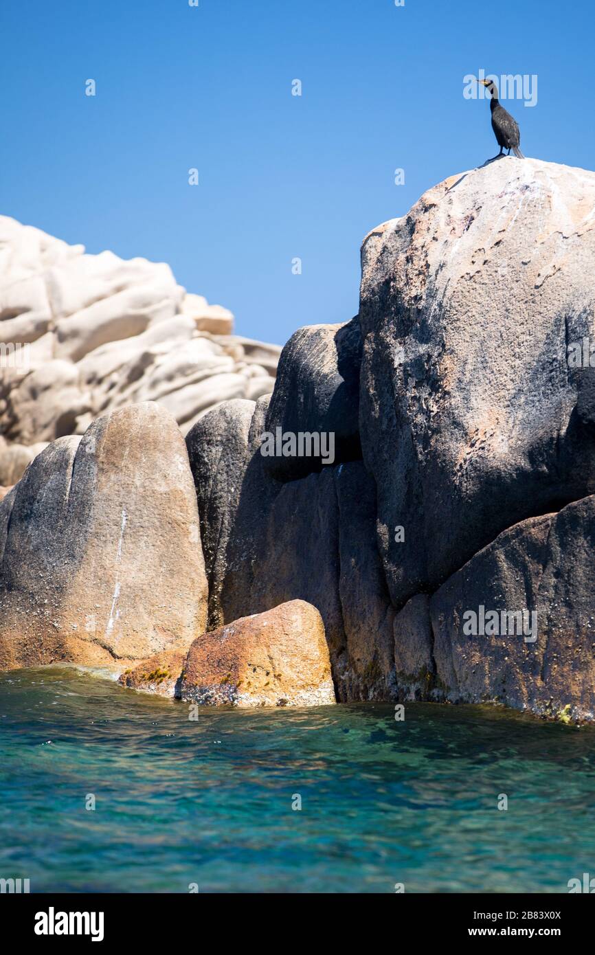 scenic-sardinia-island-landscape-italy-sea-coast-with-azure-clear