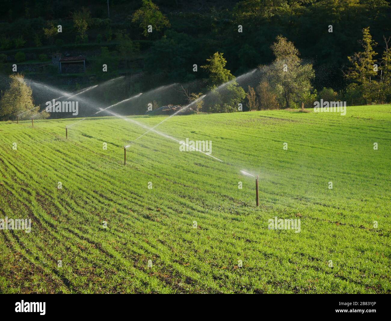 Automatic watering system hi-res stock photography and images - Alamy