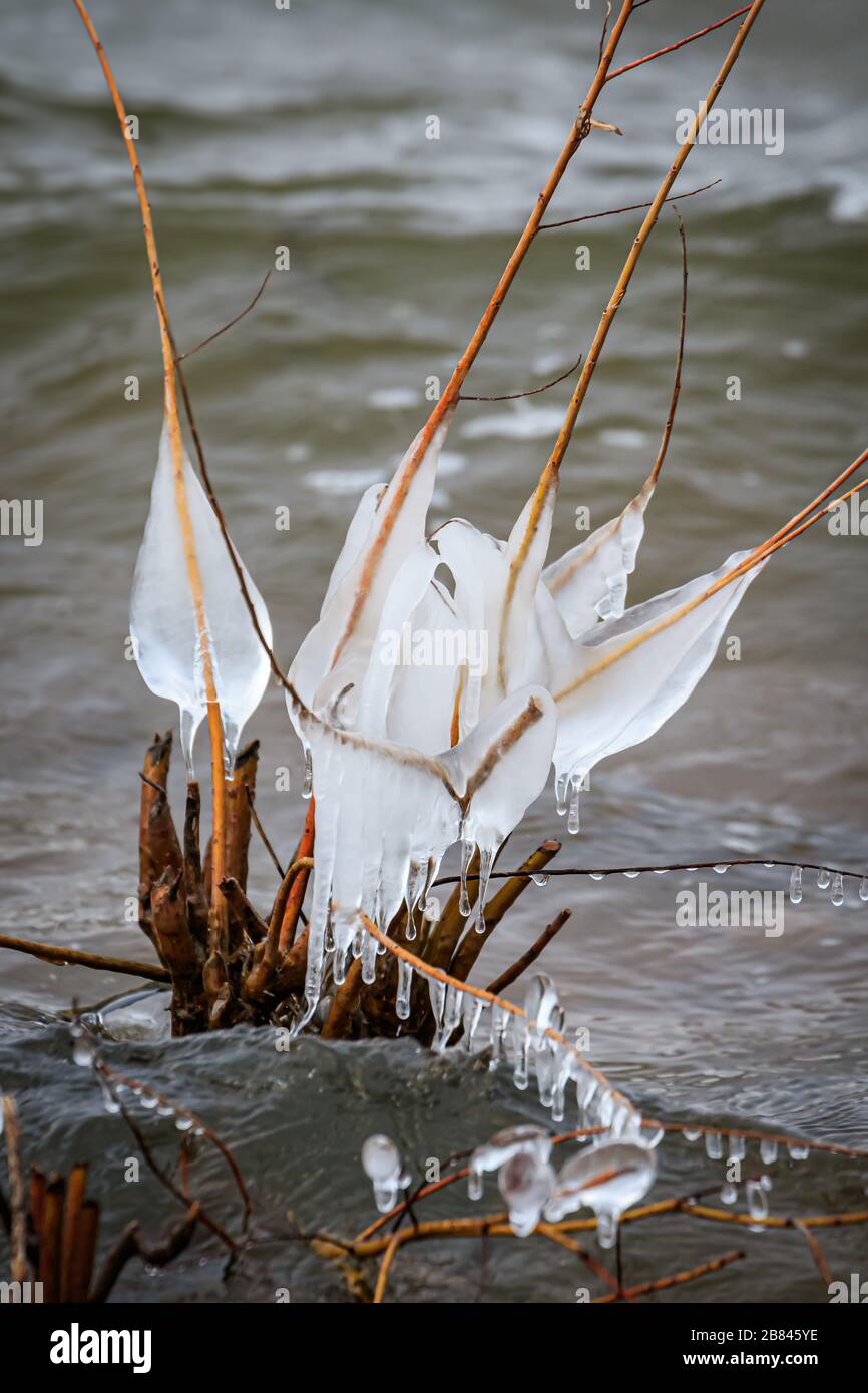 Natural ice sculptures on a lakeshore after a cold, windy winter night ...