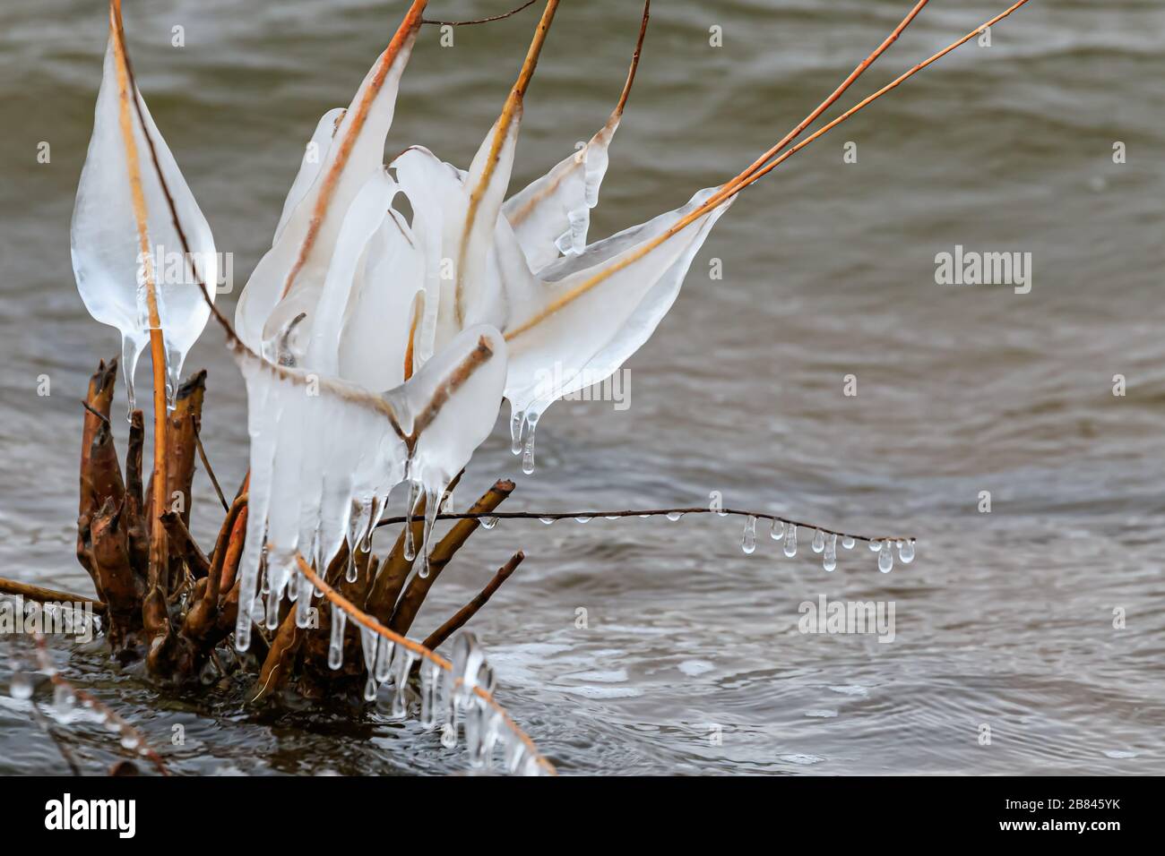 Natural ice sculptures on a lakeshore after a cold, windy winter night ...
