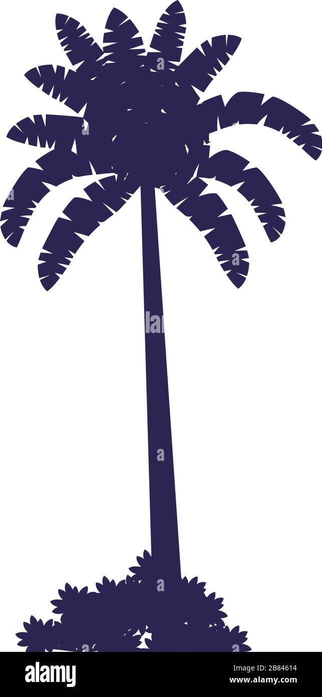 tree plant tropical silhouette icon Stock Vector Image & Art - Alamy