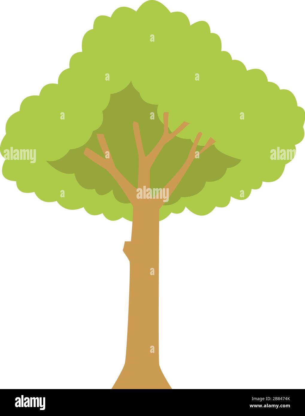 tree plant nature isolated icon Stock Vector Image & Art - Alamy