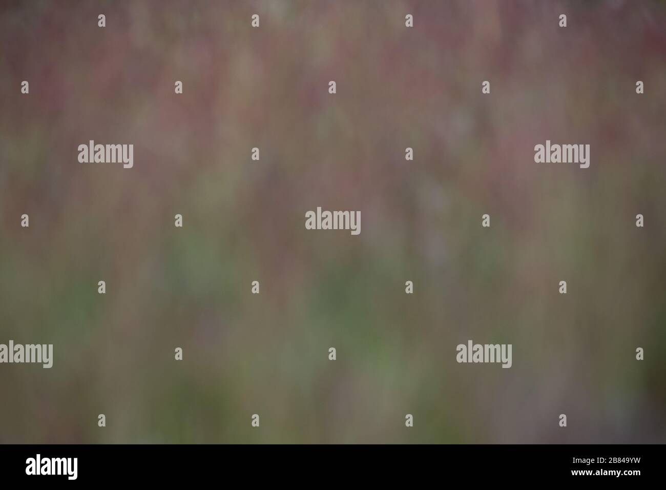 Bokeh natural background hi-res stock photography and images - Alamy