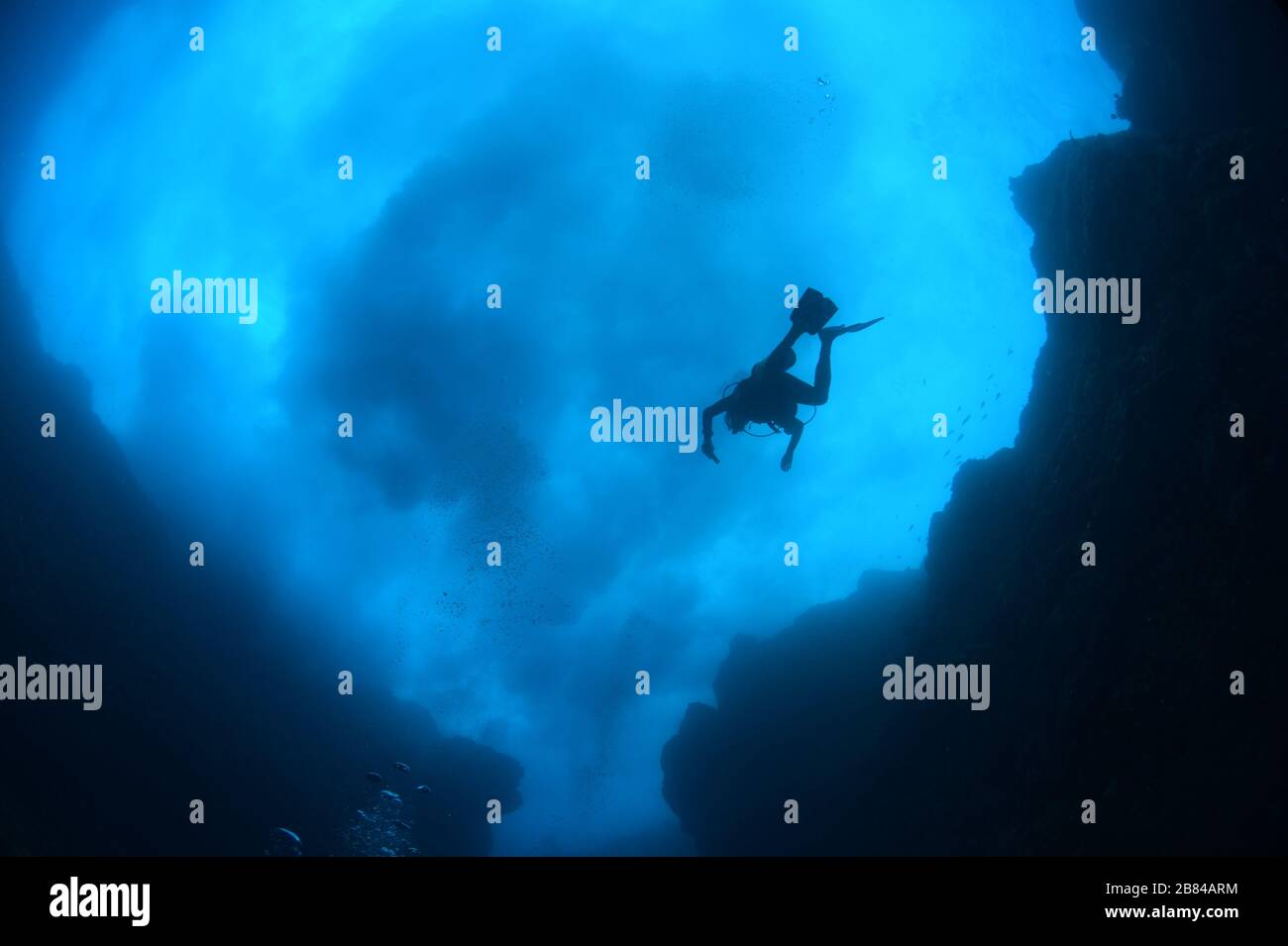 Scuba Diving in Sint Maarten / Saint Martin with Ocean Explorers Dive