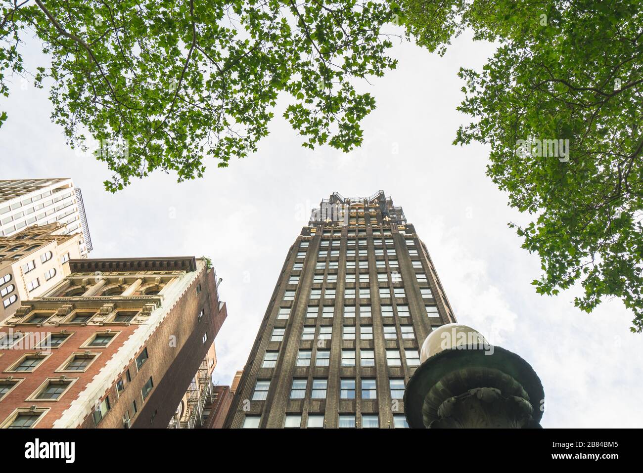 New York City skyscrapers. Low angle view, diminution perspective, copy space Stock Photo