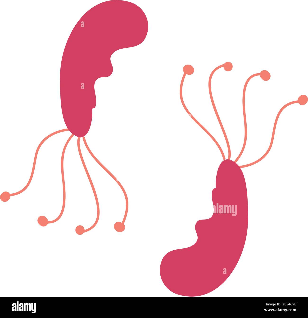 virus bacterias icon over white background, flat style, vector ...