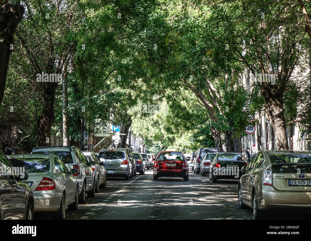 Tbilisi, Sep 22, 2018. Cars on street with many trees in Tbilisi, Tbilisi is