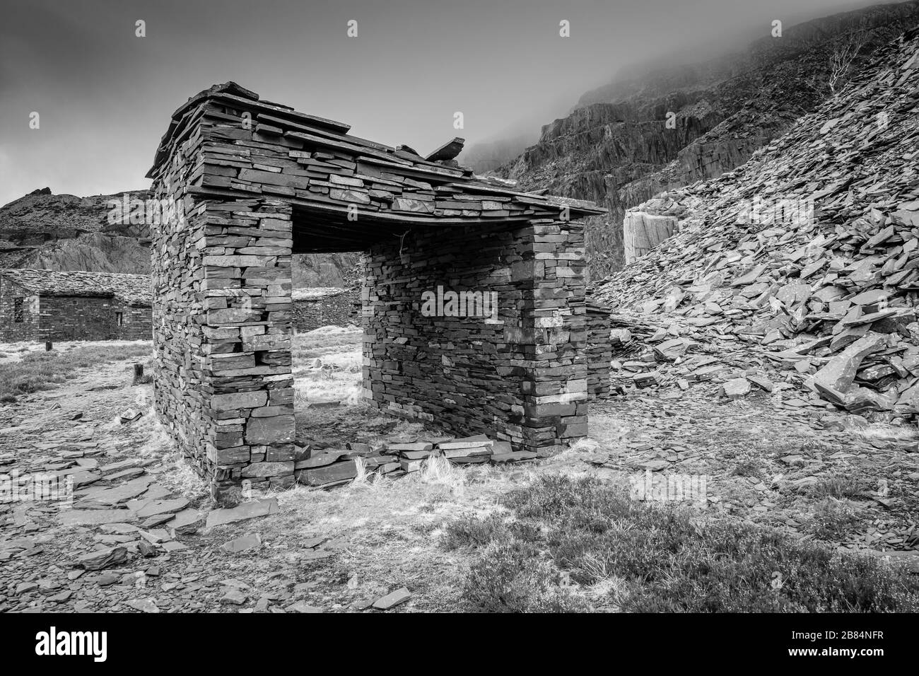 Snakes and ladders Black and White Stock Photos & Images Alamy