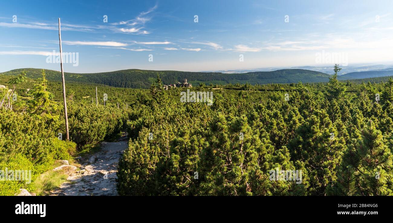 view from hiking trail bellow Szrenica hill in Karkonosze mountains in Poland near borders with Czech republic during summer evening with blue sky Stock Photo