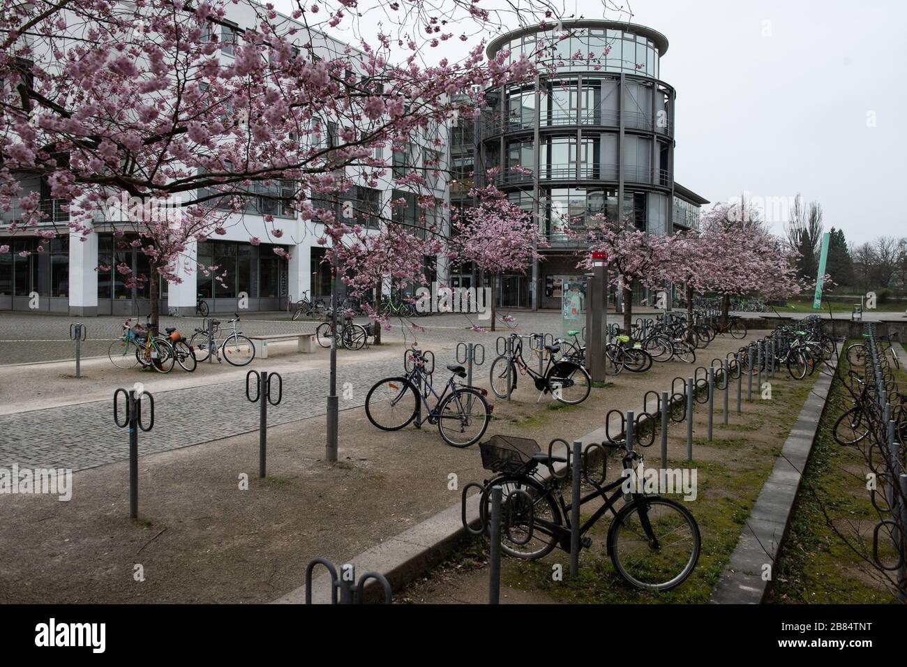 20 March 2020, Lower Saxony, Göttingen: There are only a few bicycles on  the Göttingen University campus in front of the Lower Saxony State and  University Library. The University of Göttingen has