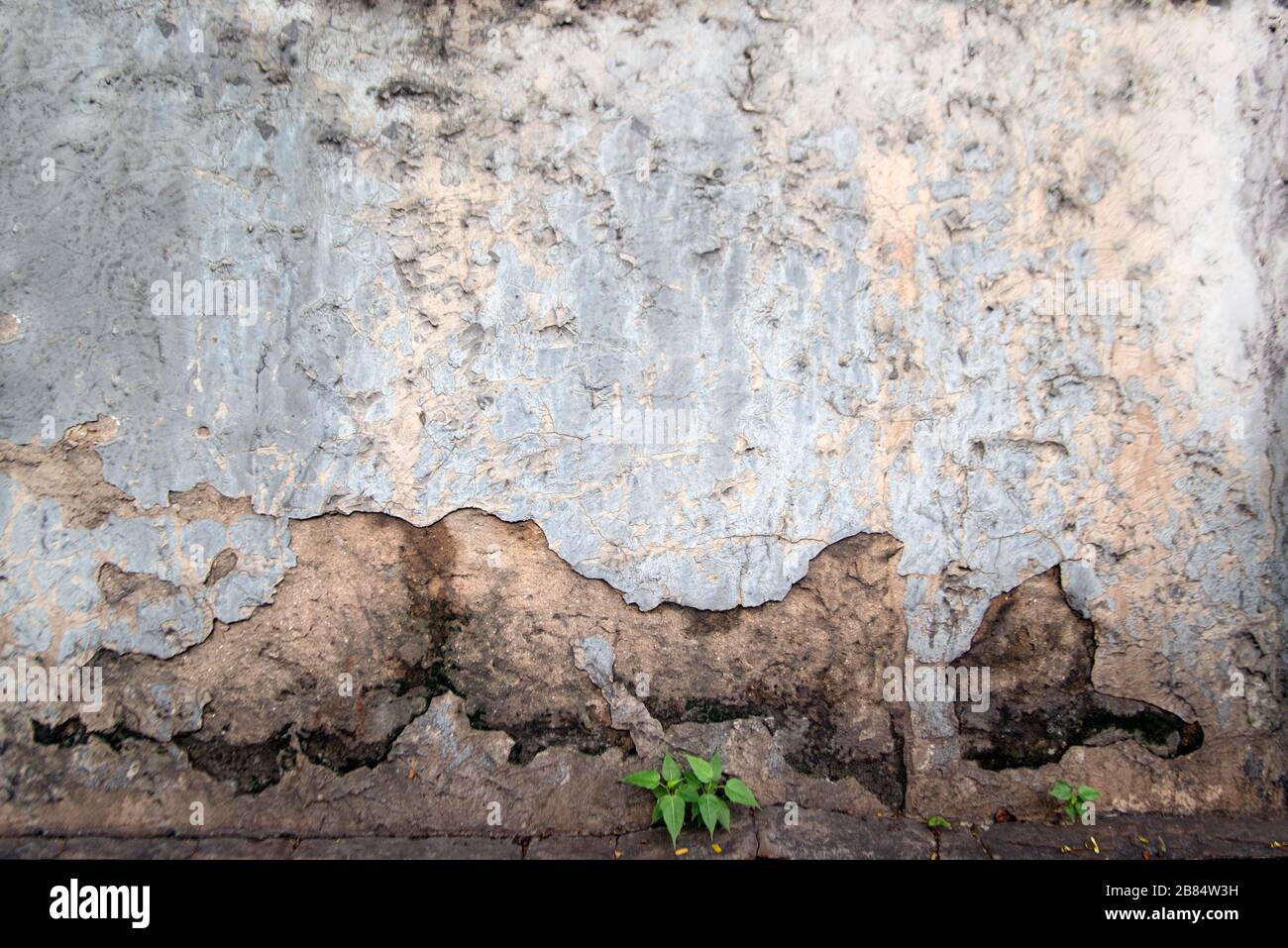 Old brick wall building texture and background Stock Photo - Alamy
