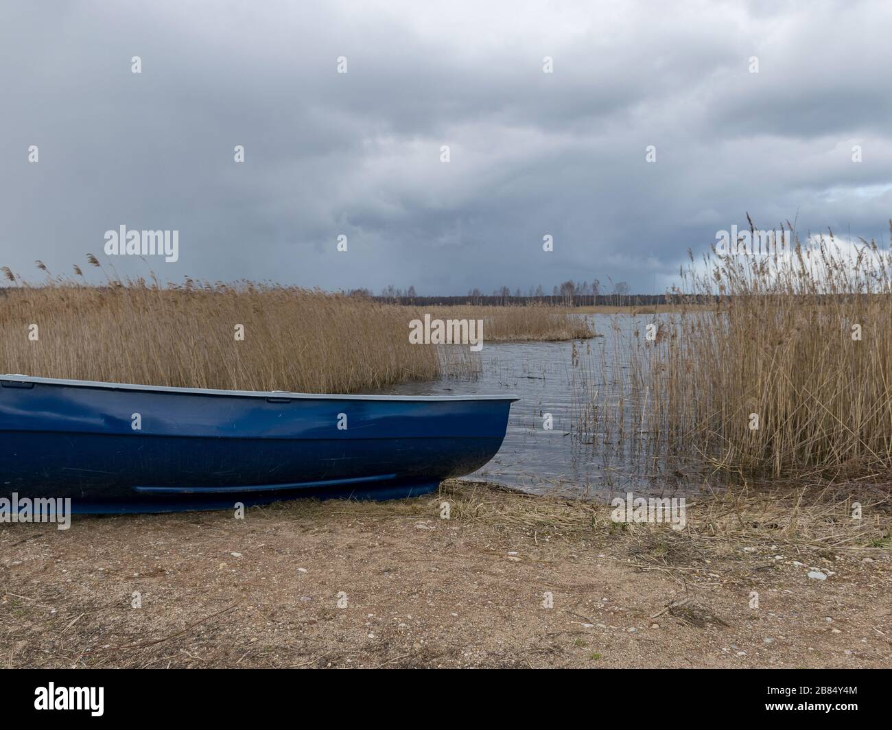 landscape with boats on the shore of the lake, dry reeds in the ...