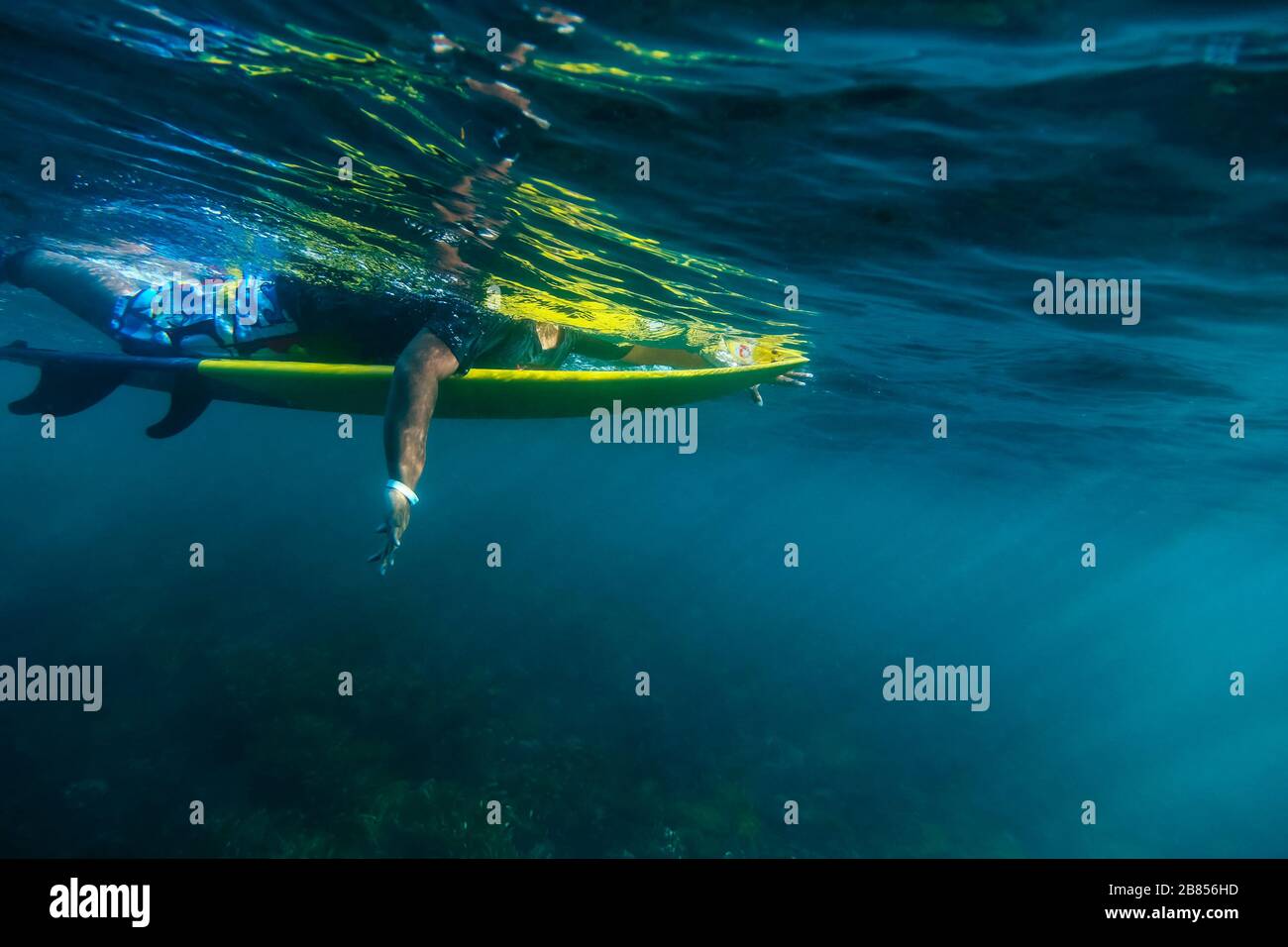 Surfer, underwater view, Bali, Indonesia Stock Photo Alamy