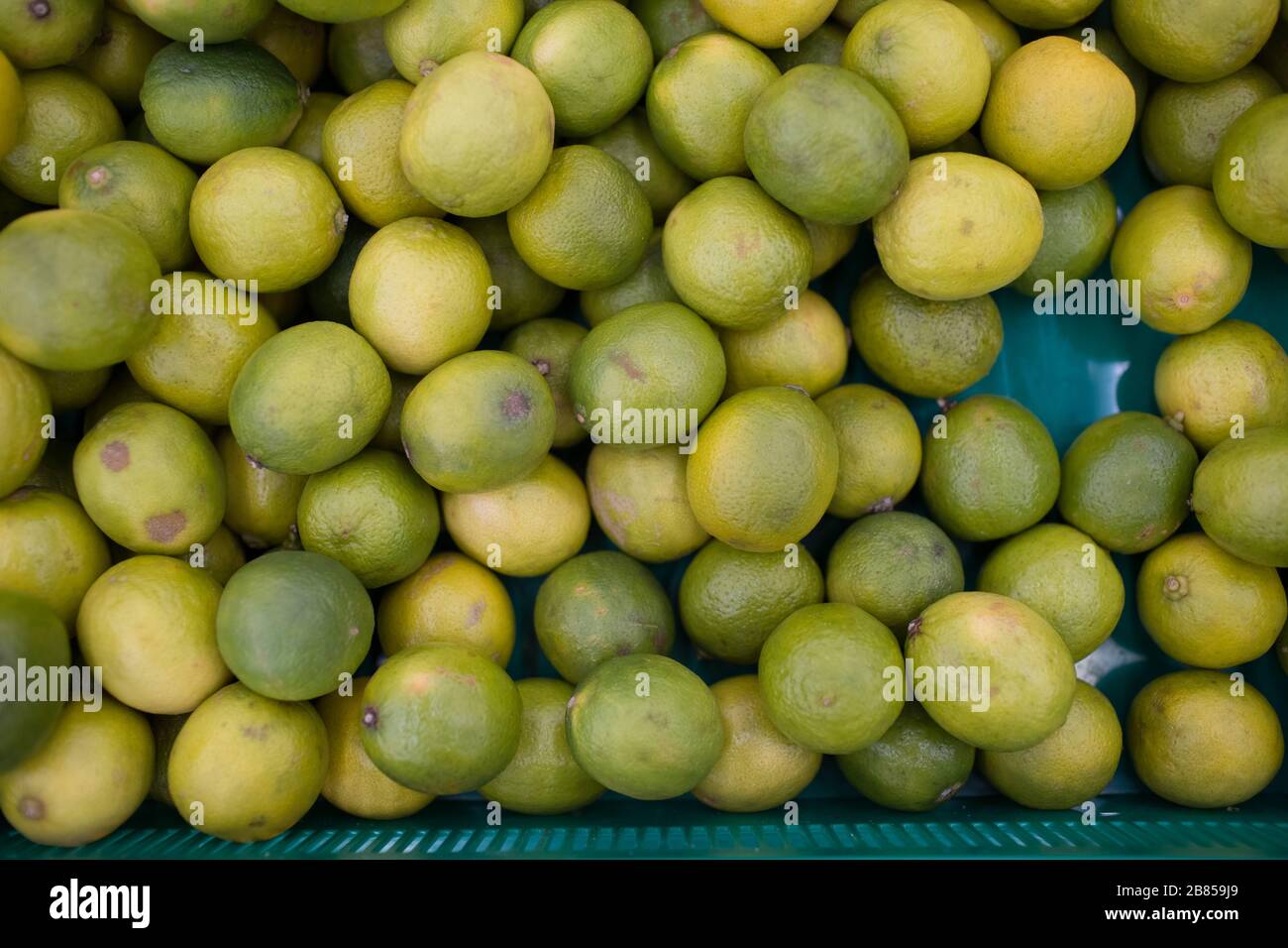 Limes on a counter in a store Stock Photo Alamy