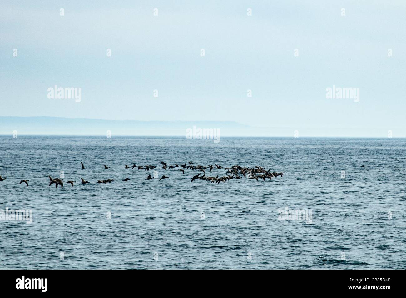 Santa Barbara Sailing Stock Photo Alamy