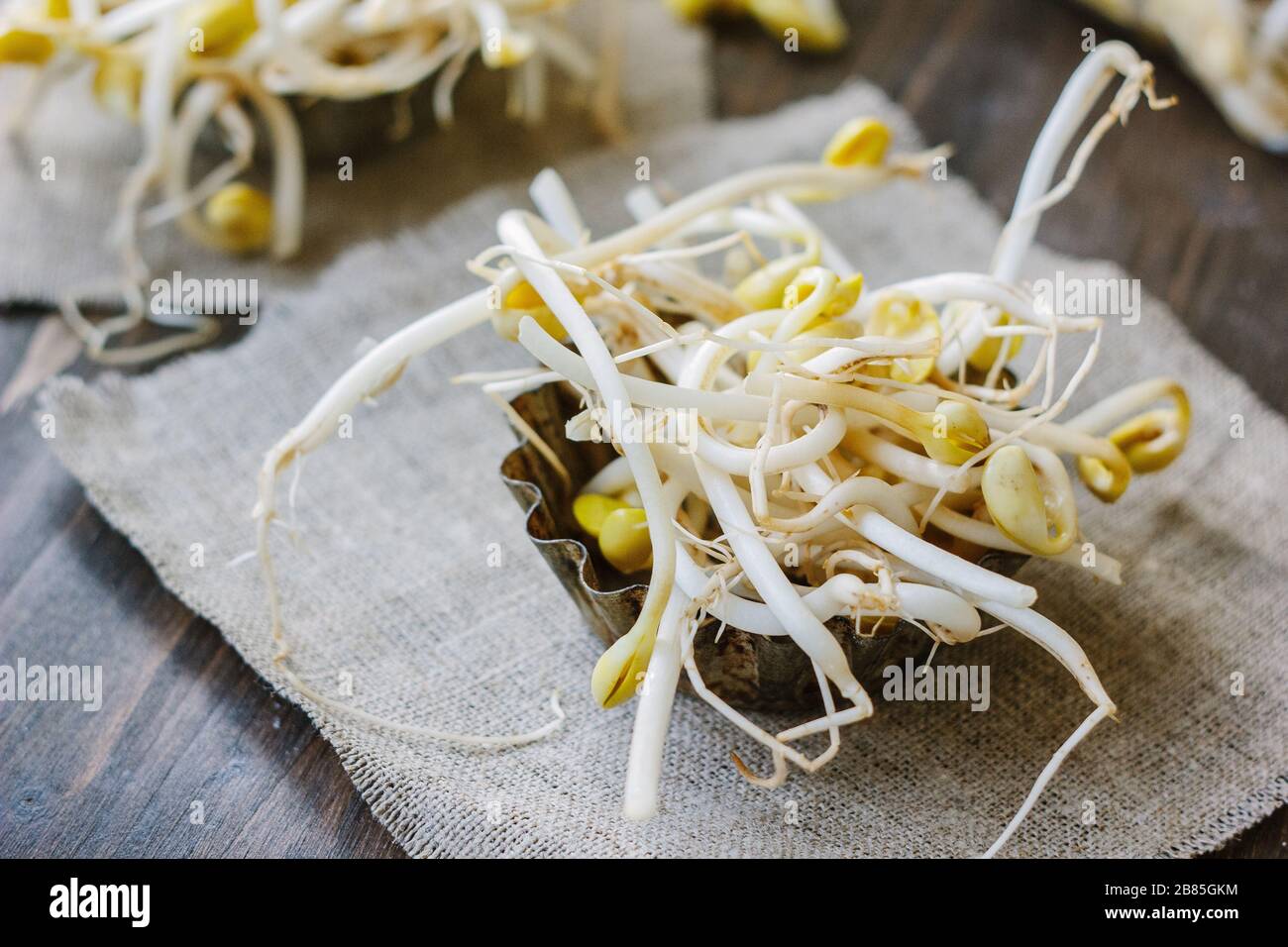Soybean sprouts. Table with soy bean sprouts on it Stock Photo Alamy