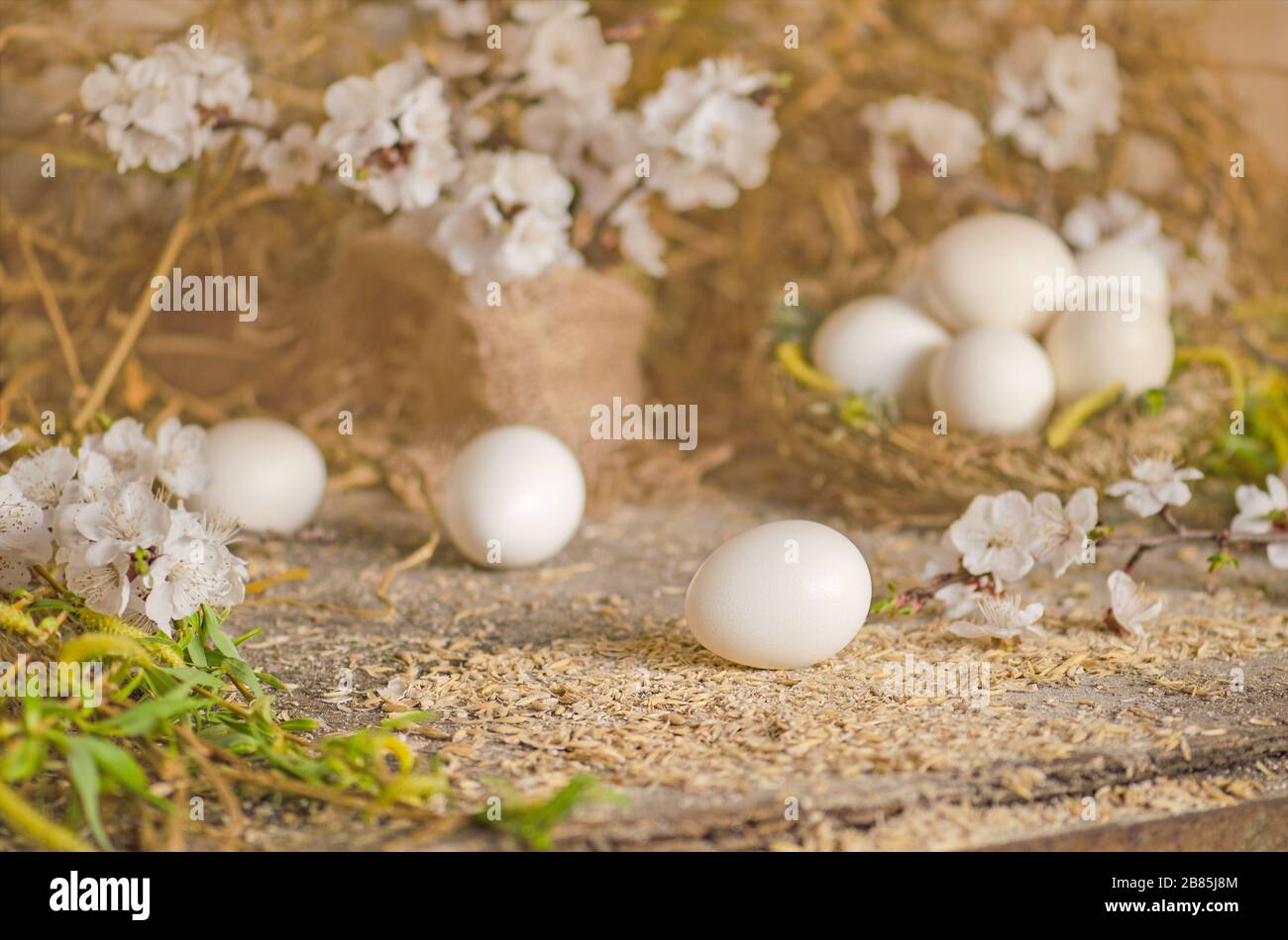 Chicken eggs in the straw nest beside three chicken eggs over a wooden ...