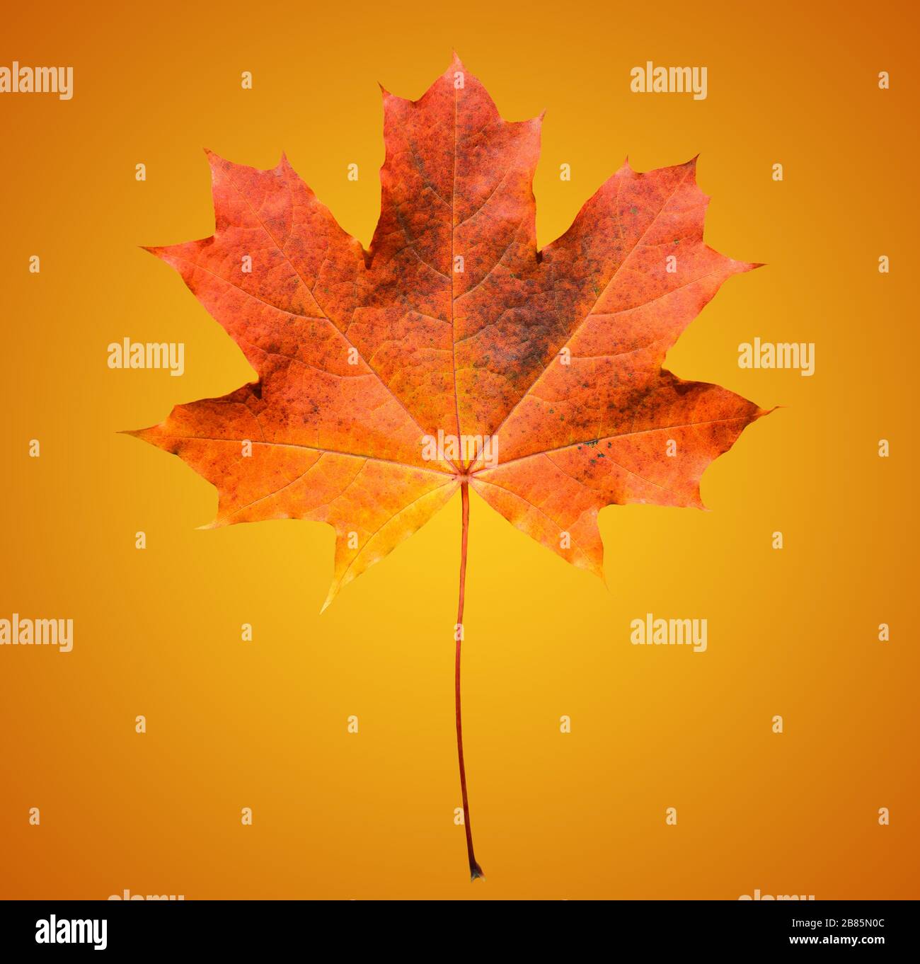 Golden orange gradient hi-res stock photography and images - Alamy