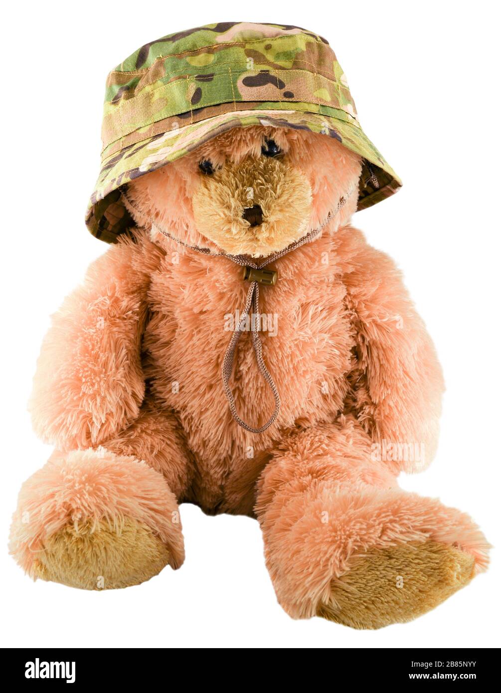 funny teddy