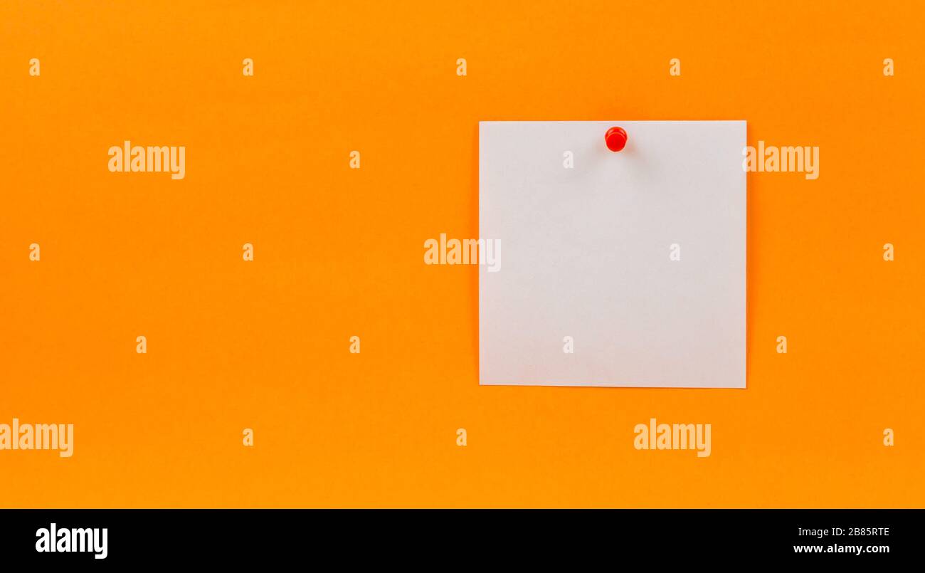 Empty blank white paper note pinned red pin on a yellow background Stock Photo