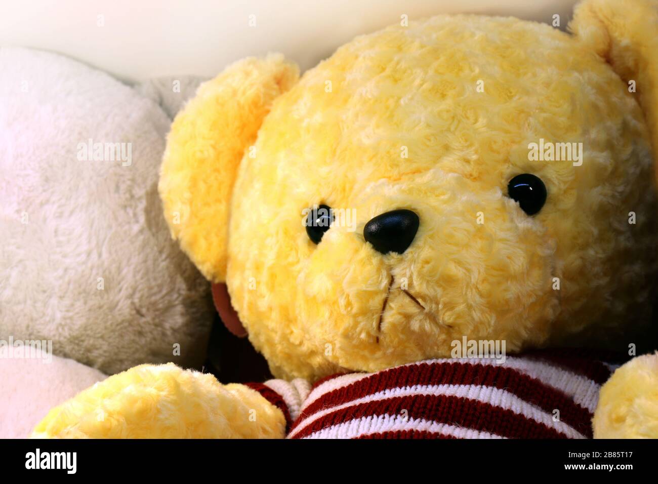 doll cute teddy bear yellow face close up, little bear doll, face teddy