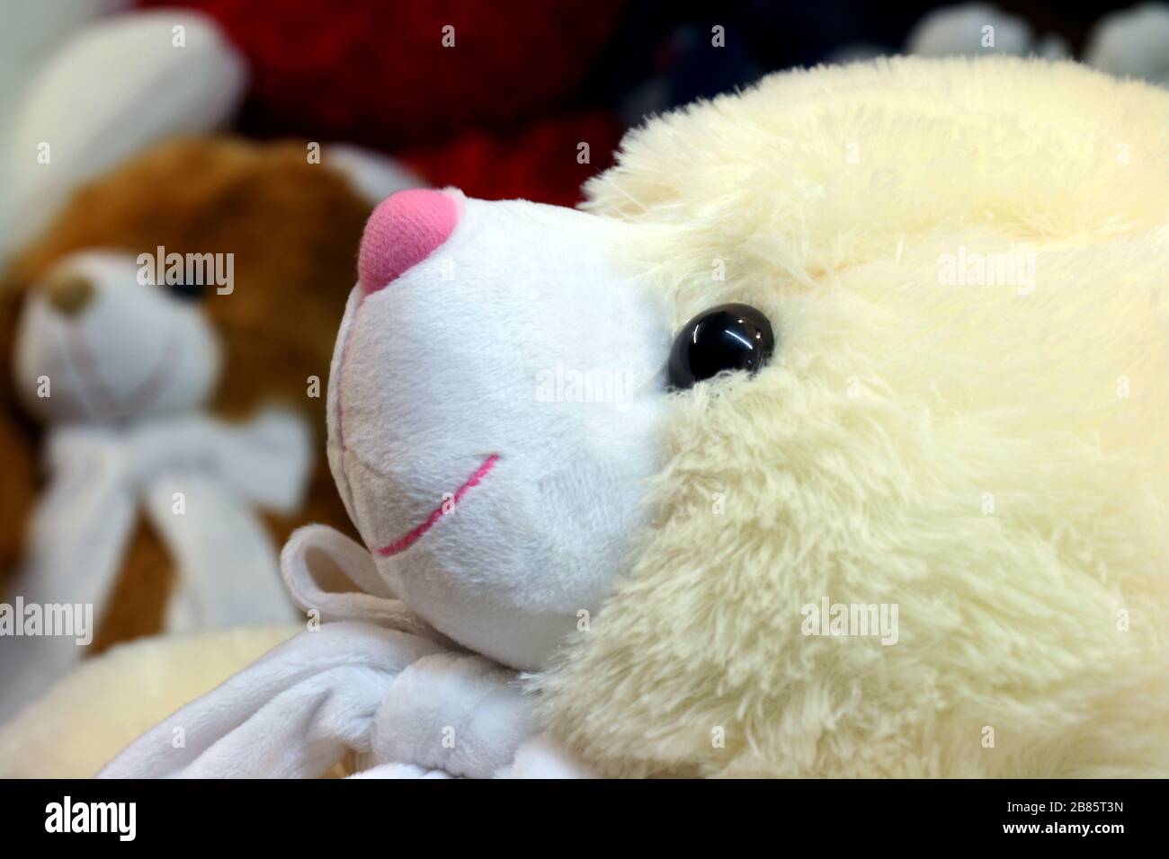 doll cute teddy bear yellow face close up, little bear doll, face teddy