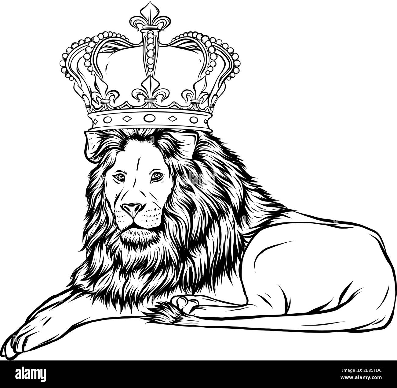 Vector illustration the lion king, the head of a lion in the crown, on