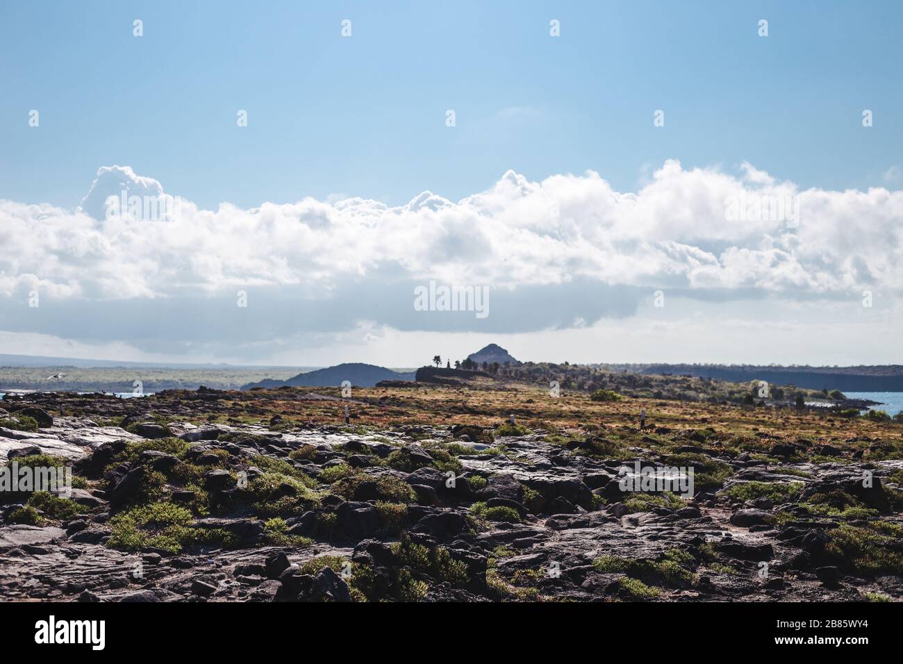 Jurassic-like wilderness landscape of Isla North Seymour in the Galapagos Islands, Ecuador Stock Photo
