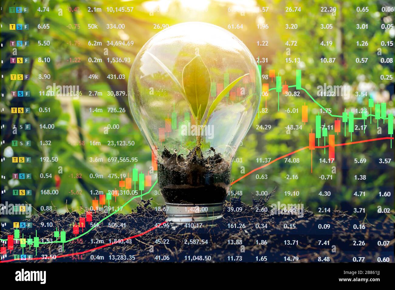 Stock market investment concept gain and profits with candlestick charts and numbers. Trees growing in bulbs Stock Photo