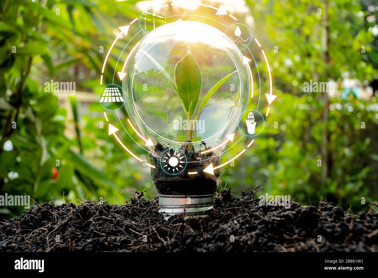 Trees that are growing in bulbs front of global show the world's