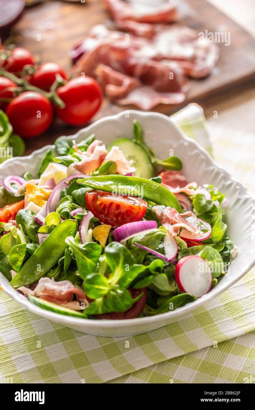 Fresh spring salad with green leaves tomatoes egg radish red onion