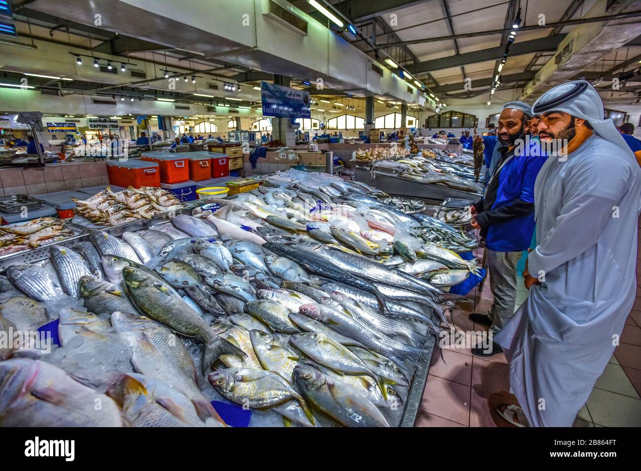 United Arab Emirates. Abu Dhabi. Mina fish market in Zayed port Stock