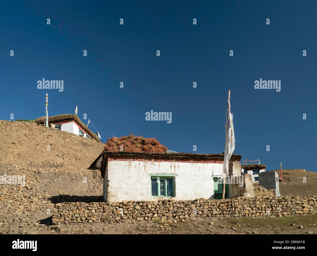 Traditional village houses with animal fodder on roofs in Spiti valley and in the Himalayas in summer in Komic, Himachal Pradesh, India. Stock Photo
