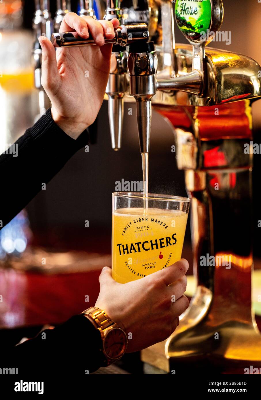 A glass of Thatchers Cider. Stock Photo