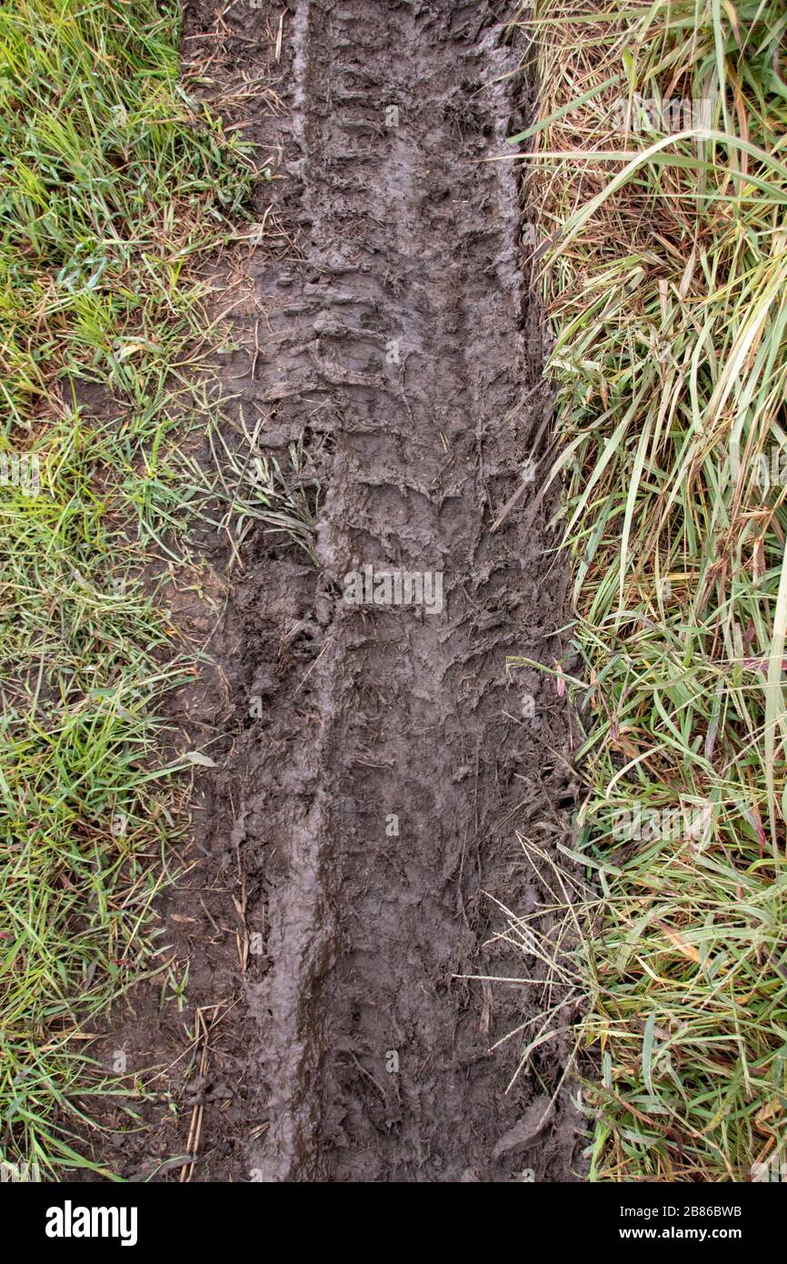 Tyre track grass hi-res stock photography and images - Alamy