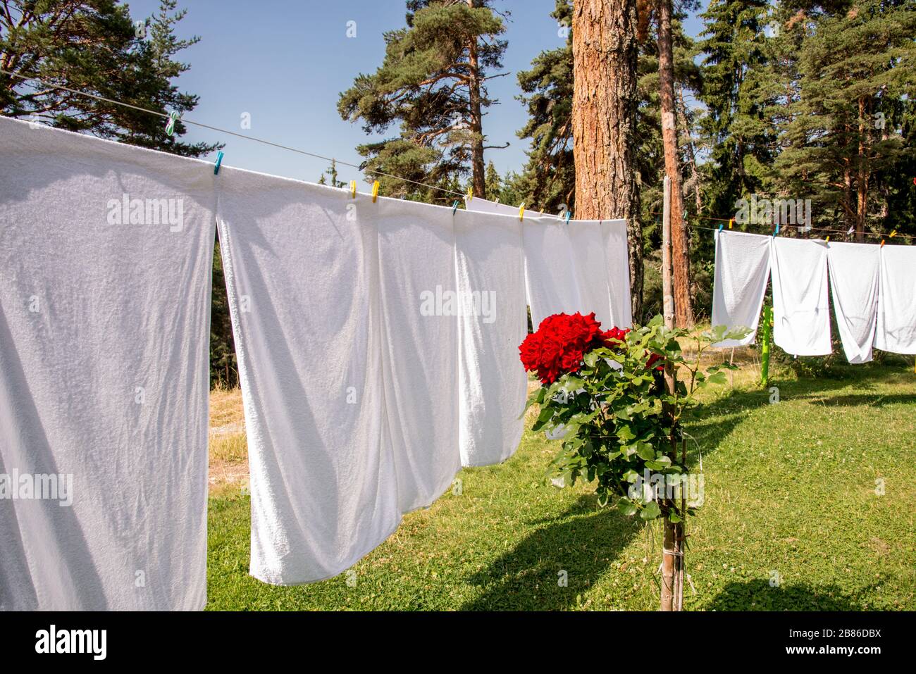 fresh clean white towels drying on washing line in outdoor Stock Photo