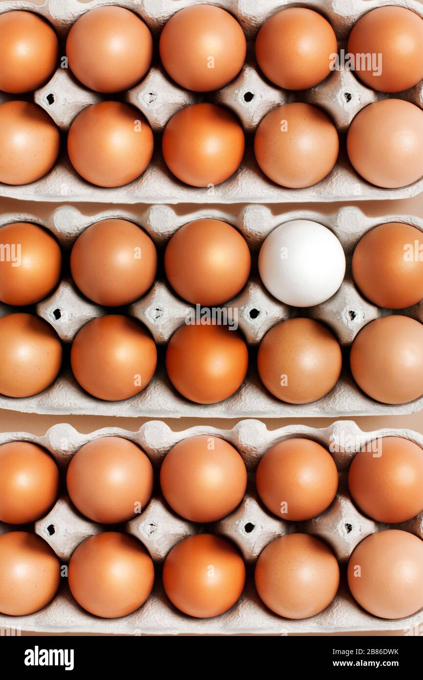 A dozen eggs in a box on the table with one white egg, top view. Minimalistic product concept Stock Photo