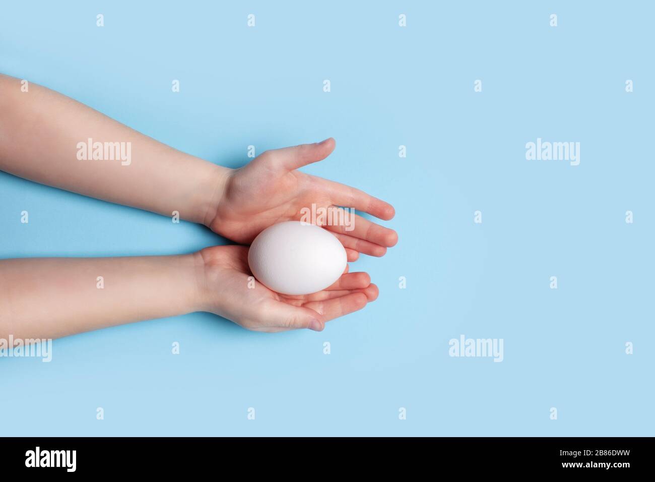 White chicken egg in the hands of a child on a blue background. Easter concept. Stock Photo