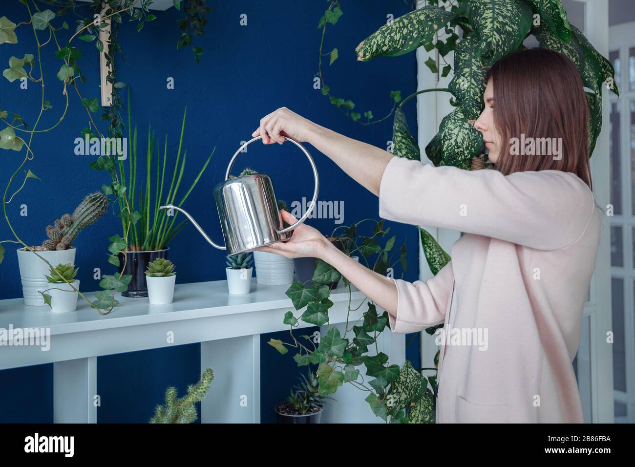 A girl in beautiful clothes is watering indoor flowers from a metal watering can. Stock Photo