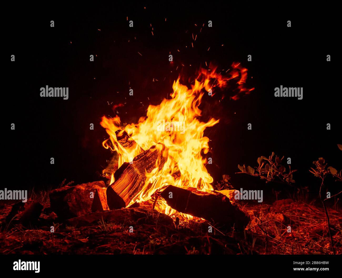 Campfire burning at dark night Stock Photo - Alamy