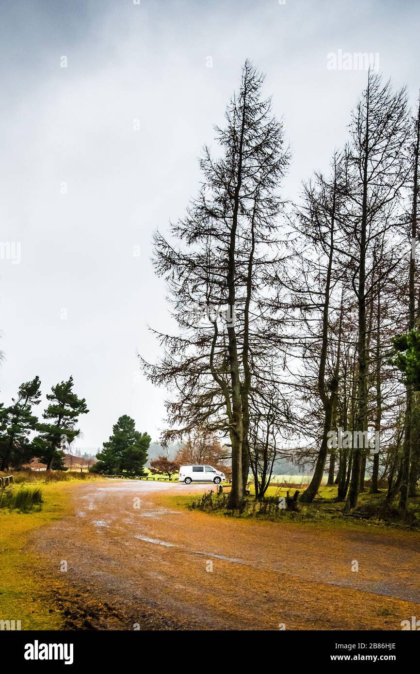 A white camper van in a rural car park, surrounded by tall trees Stock ...
