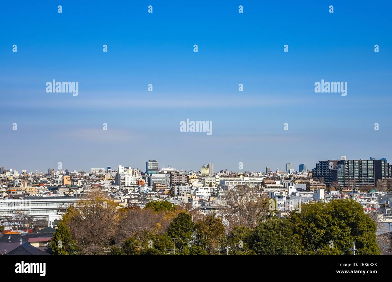 Skyline in Setagaya ward in sunny day with blue sky, Tokyo, Japan Stock Photo