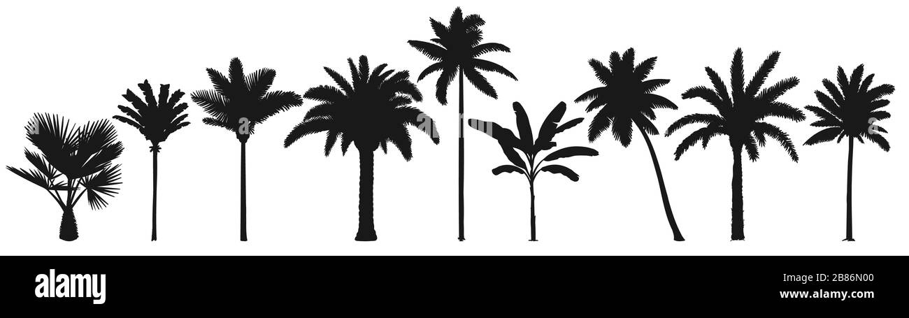 Palm trees silhouette. Retro coconut trees, hand drawn tropical palm silhouettes vector set Stock Vector